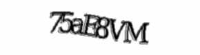 Security check image, please type the characters shown